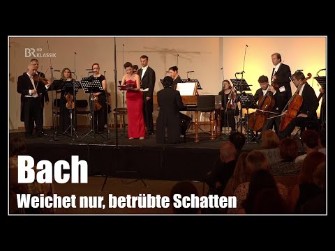 Bach: Weichet nur, betrübte Schatten, BWV 202 | Wiener Akademie