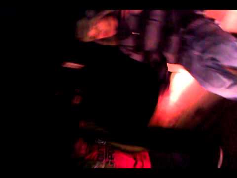 Bandit T.V. Stuey & Diipp