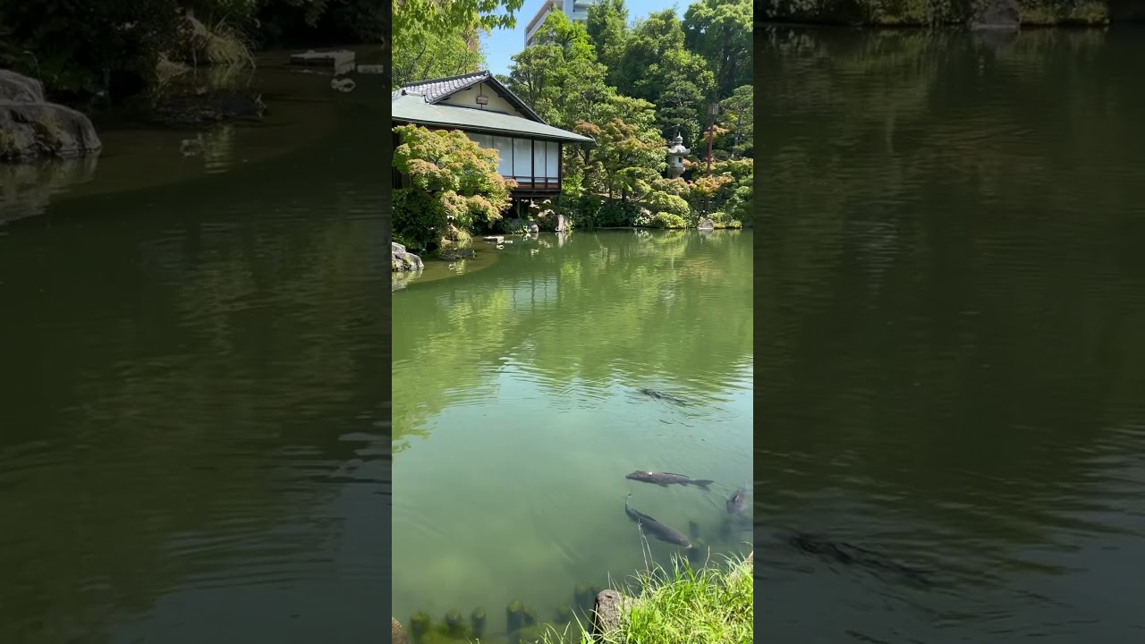 YouTube Short thumbnail