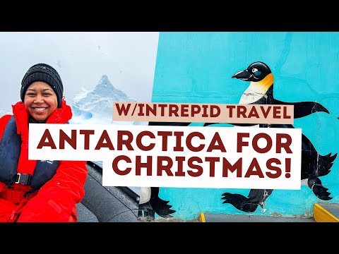 My Solo Cruise To Antarctica With Intrepid Travel!