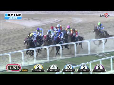 YTN Cup 2015-Areumdaundonghaeng