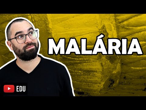 Malária - Aula 17 - Módulo IV: Microbiologia, Fungos e Protistas | Prof Gui