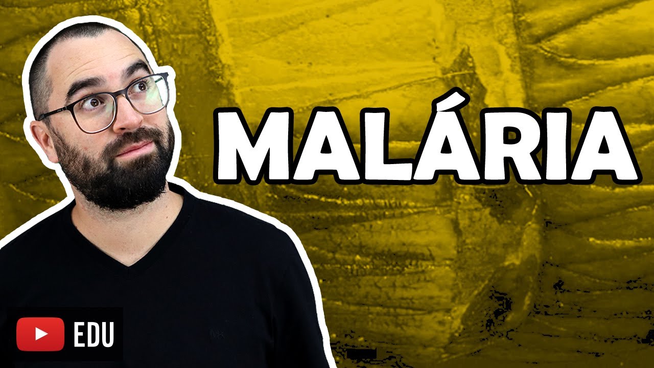 Malária - Aula 17 - Módulo IV: Microbiologia, Fungos e Protistas | Prof Gui