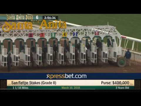 Recap of the San Felipe, Gotham, and Tampa Derby