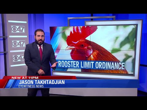 'Targets our religion': Hmong community concerned over Fresno County rooster ordinance