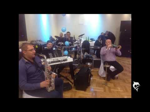 NEMA DALJE uzivo - Dje dor Cetvorka Todorovic