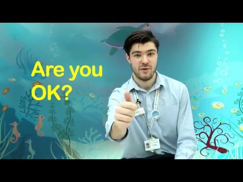 2nd YouTube video about are you okay in sign language