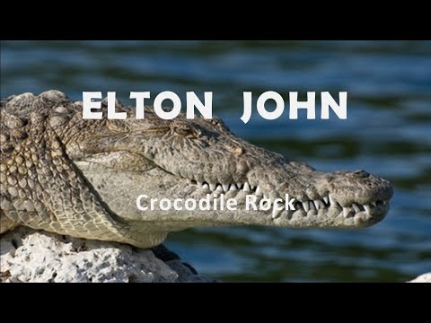 Elton John "Crocodile Rock"