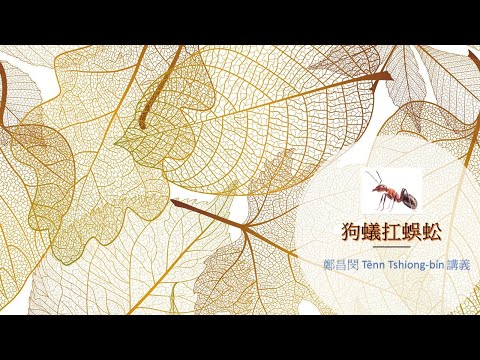 蜈蚣走入狗蟻岫