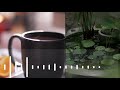 Rain Tea Whatsapp Status Music Feeling IPhone Ringtone Welcome Music