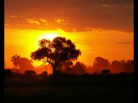 Kirikou et la Sorcière - Youssou N'Dour