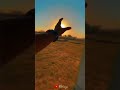 Kitni Hasrat Hai Tumse Dil Lagane Ki Shortvideo Reelsinstagram