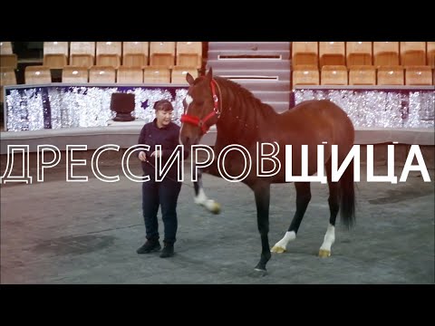 Человек труда: Дрессировщица и её подопечные