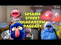 Sesame Street Quarantine Pageant