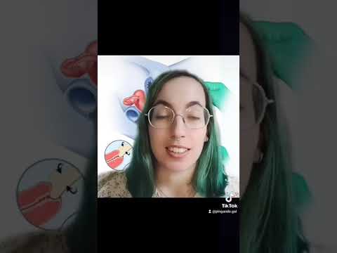 Vídeo: Que é a proba de Papanicolau e quen foi unha das súas inventoras?