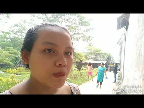 Madu dengan kenari resep untuk potensi Wanita perlu melembagakan