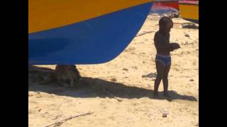 Reggae Feel  - Spencer Tee (Royalty Free Music)