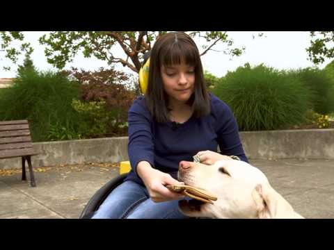 Snoopy Pop New Bubble Shooter Game