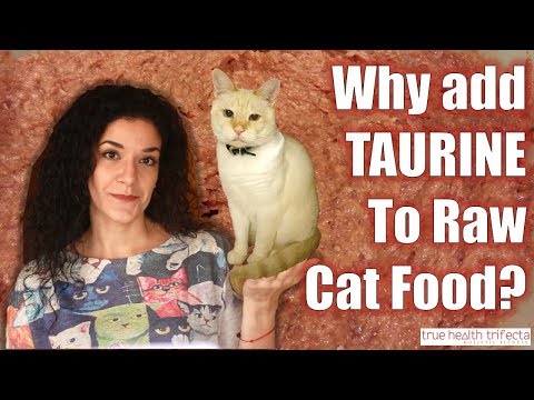 Do I need to add TAURINE to my Raw Cat Food? (Part 3 of 3) - Cat Lady Fitness