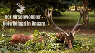 Der Hirschwobbler | HIRSCHJAGD in UNGARN