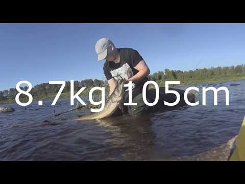 Hauen kalastusta | 9kg hauki