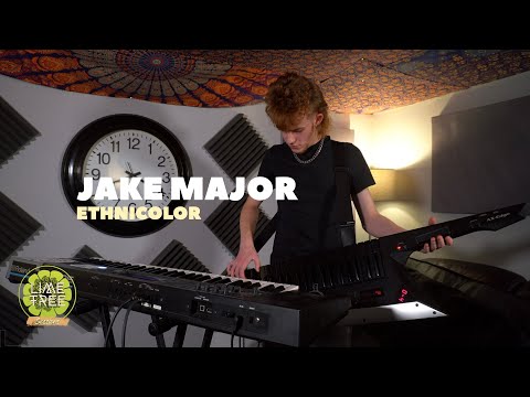 Jean-Michel Jarre - Ethnicolor (Cover by Jake Major) | Lime Tree Sessions