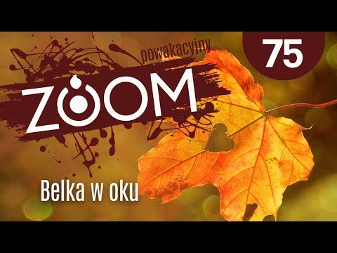 ZOOM Powakacyjny #75 Belka w oku - Paweł Krzywański