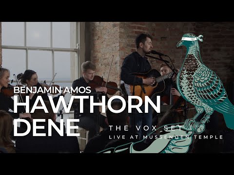 Benjamin Amos - Hawthorn Dene - The Vox Set - LIVE at the Mussenden Temple