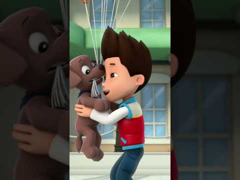 Zuma almost float away with balloons - Paw patrol