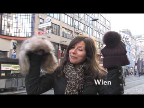 Check your Jacket Teaser