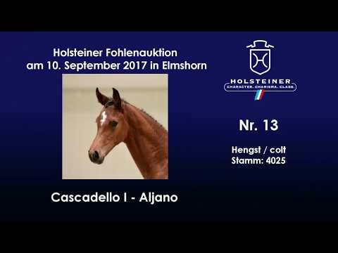 Nr. 13 v. Cascadello I - Aljano