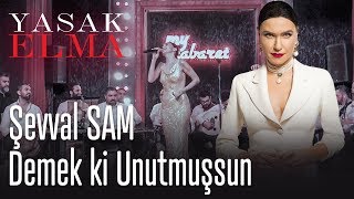 Yasak Elma Gecesinde Şevval Sam'ın Muhteşem Performansı #2