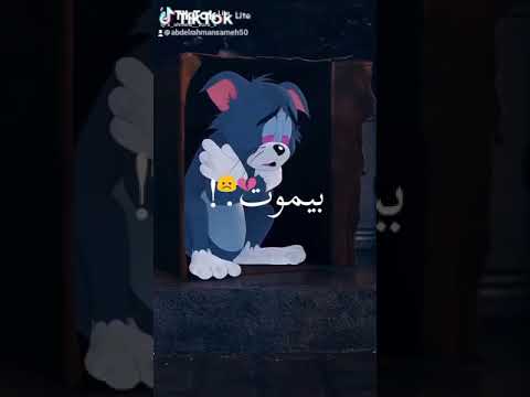 اغنيه محطوط و القلب شايل بيموت