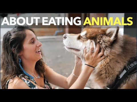 動物を食べることについて (About Eating Animals)