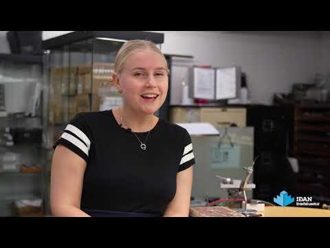 Ég vildi frekar fá að vinna með höndunum