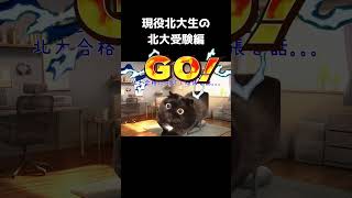 現役北大生の北大受験編【猫ミーム】　#猫ミーム #北海道大学 #大学受験