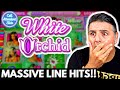 Why Have I Never Played This Before? Incredible WIN on White Orchid Slot Machine!