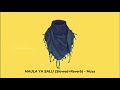 Maula Ya Salli Muza Slowed Reverb Arabic Nasheed Astroboy Musick