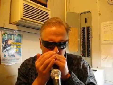 Some Random Harmonica Noise from the Possum - Hohner Special 20 Key of C