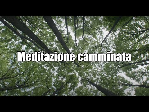 Meditazione camminata | SILVA IOTTI YOGA e Meditazione