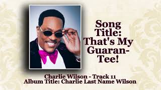 Charlie Wilson &quot;My Guarantee&quot; (HQ) w-Lyrics - Custom Audiovisual