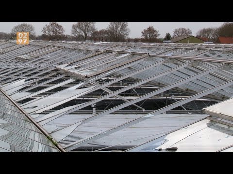 Windhoos vernielt kas Mijdrecht: 'Het is klaar' - 0297.nl