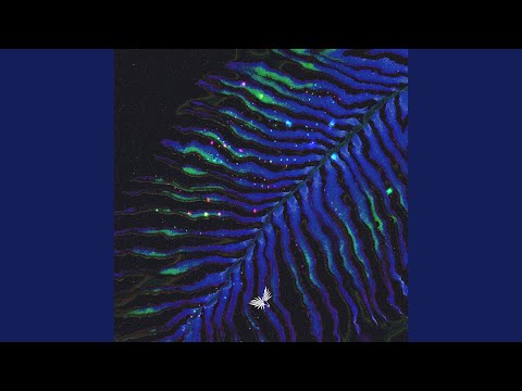 Caravan (Hrag Mikkel Remix)