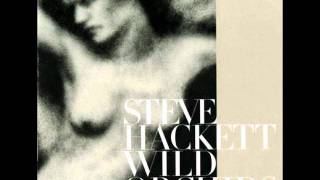 Steve Hackett - She Moves In Memories