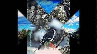 God Bless The Dreamer