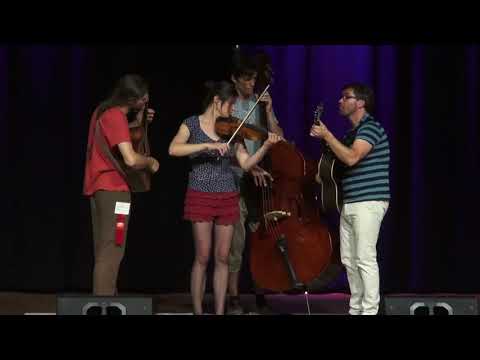 2017-06-23 GC3 Tashina Clarridge - Grand Champ Div - Weiser Fiddle Contest 2017