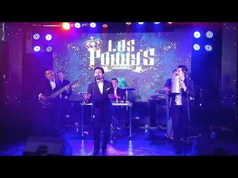 LOS PONNYS INTERNACIONAL - CONCIERTO VIRTUAL