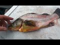 Fish Filleting