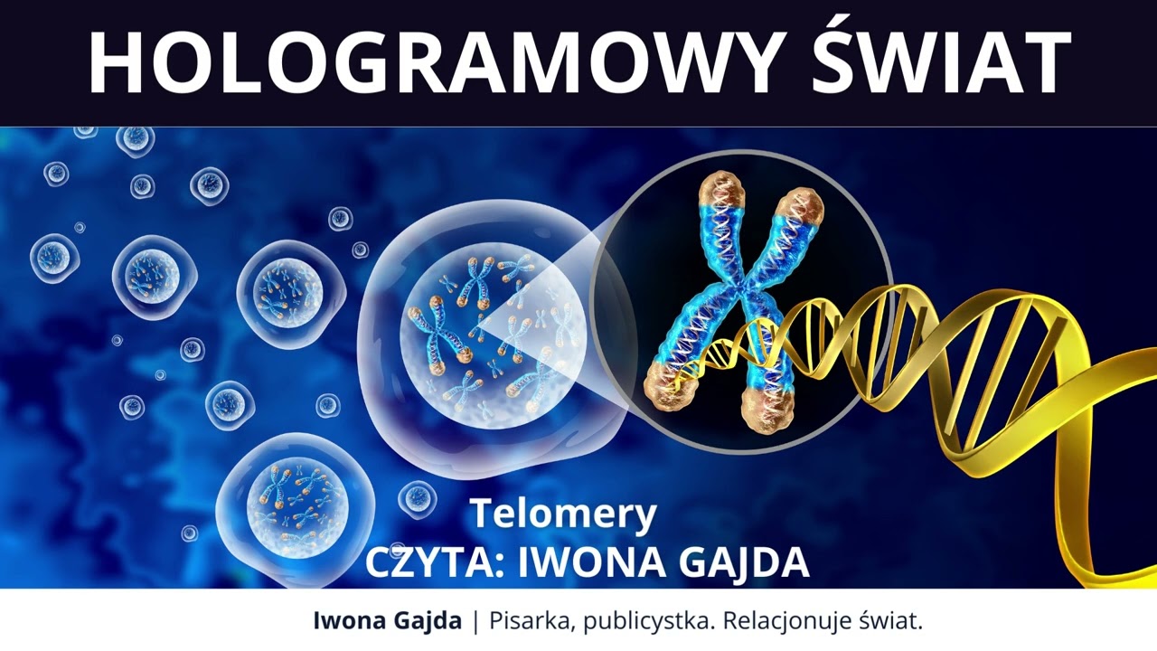 Telomery - Hologramowy Świat | Iwona Gajda