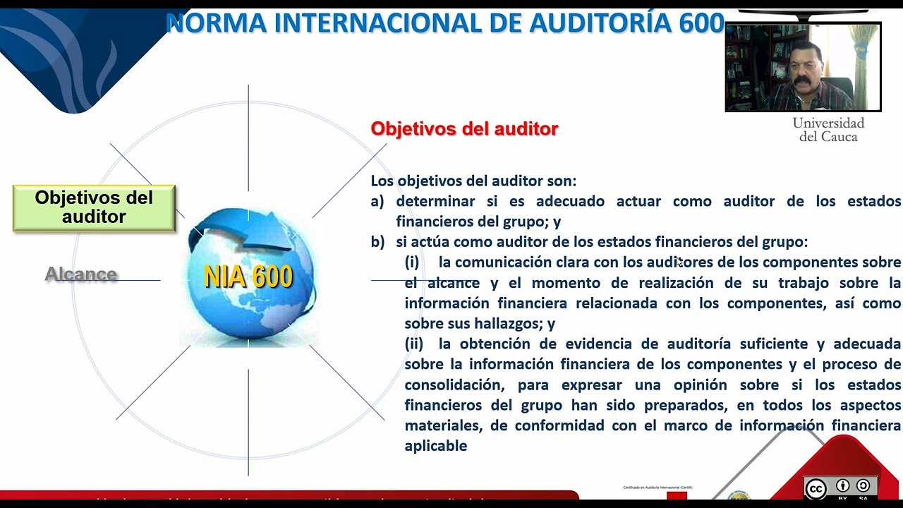 Norma Internacional de Auditoría 600